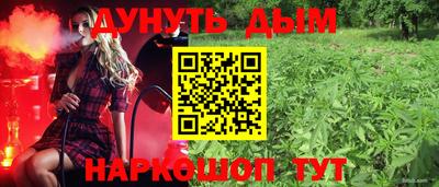 крисы Брянск