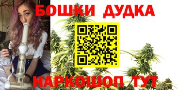 крисы Брянск