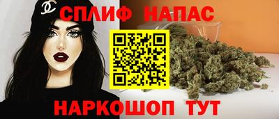крисы Брянск